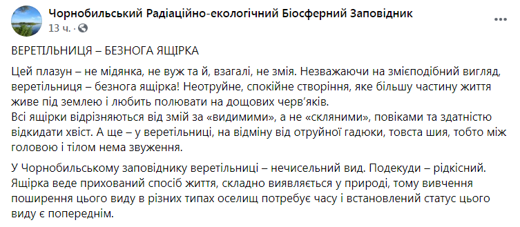 Скриншот из Фейсбука Чернобыльского заповедника 